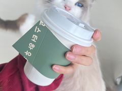 -怪兽屋·羊驼·猫咖·狗咖(俊华广场店)