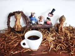 -参差咖啡(水果湖公园店)