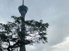 -澳门旅游塔360°旋转餐厅(南湾湖广场店)