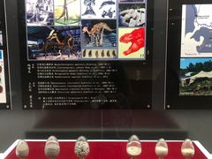 -嘉荫恐龙国家地质公园