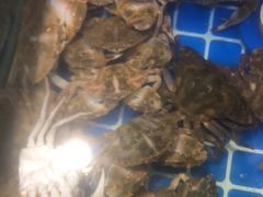 -圣罗巴海鲜自助(黑金店)