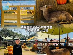 -盈香心动乐园