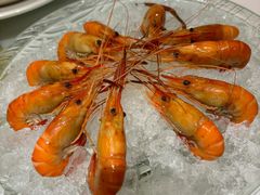 -席家花园(巨鹿花园店)