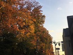 -三鹰之森吉卜力美术馆