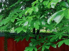 -潭柘寺景区