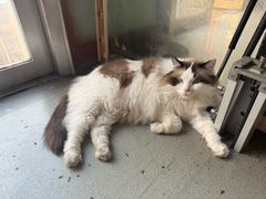 -白兔子密室(长寿路店)