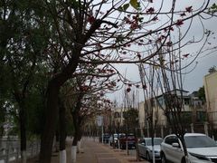 -月牙潭公园