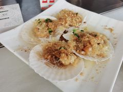 -云中小雅