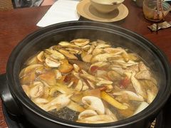 -滇野云南野生菌餐厅(陕西南路店)