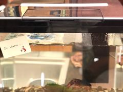 -二酉书店TOYOU BOOKS