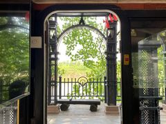 -合肥滨湖国家森林公园