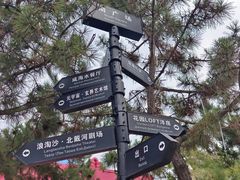 -北戴河碧螺塔海上酒吧公园