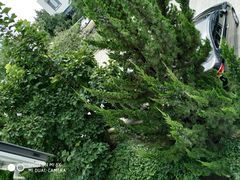 -北京邮电会议中心