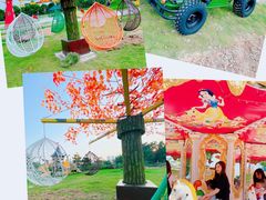 -庭苑美食中心·陈皮烧鹅·海鲜(台山店)