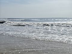 -日照海滨国家森林公园