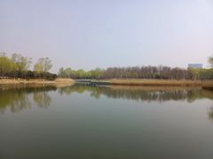 -大兴滨河森林公园