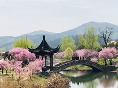 -石塘人家