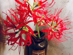 -BE NORMAL CAFE(霞溪路店)