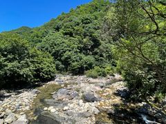 -石台牯牛降景区