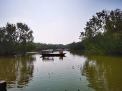 -大湾区中央湿地公园