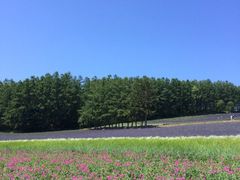 iphone_upload_pic-富田农场