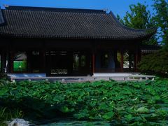 -上海滨江森林公园