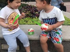 -Salud撒露欧洲冻酸奶(蓝色港湾店)