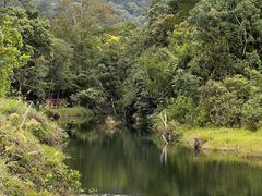 -海南热带雨林国家公园吊罗山景区