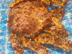 -肥福排档(星光店)
