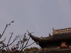 -西园戒幢律寺