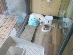-派联宠物医院·24h·CT·异宠