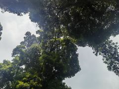 -凤栖山