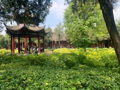 -洛阳白马寺