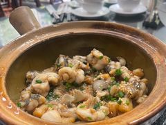 -红星光发煲仔饭(文海店)