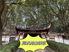 -上海佘山国家森林公园天马山园