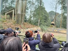 -中国大熊猫保护研究中心雅安碧峰峡基地