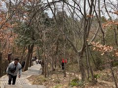 -紫金山山顶公园
