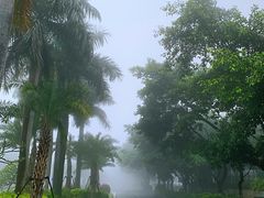 -厦门泰谷酒店(中山路镇海路地铁站店)