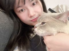 -有喵·猫咖·狗咖·40+猫狗有小奶狗(岗厦店)