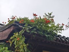 -黄帝千古情