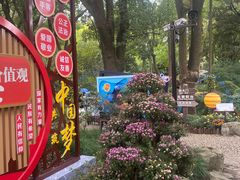 -汇龙潭