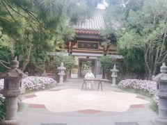 -大唐博相府酒店·陕西官府菜