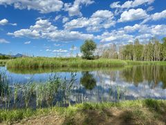 -野鸭湖国家湿地公园