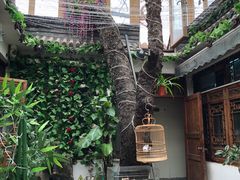 -丽江庭院·云南野生菌·海鲜火锅(鼓楼四合院店)