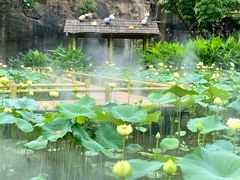 -广州莲花山旅游区
