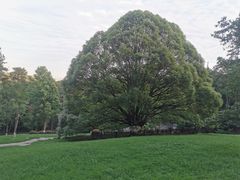 -生态园山庄(森林公园店)