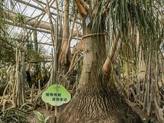 -南山植物园