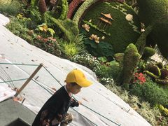 -西湖外事游船(湖滨二公园外事游船码头)