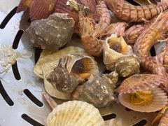 -四海蒸鲜蒸汽海鲜自助(北戴河店)