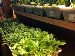 自助取餐区-老阿爸鲜鱼土菜(昆山花桥店)